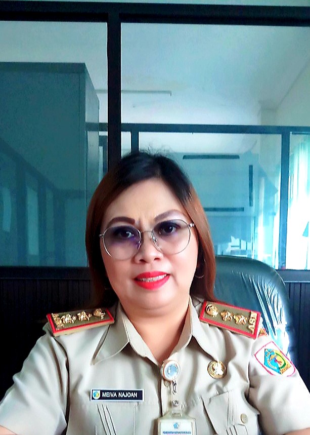 MEIVA STELLA WANTI NAJOAN